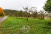 Platz für Visionen: Baugrundstück mit grünem Rückzugsort - Streuobstwiese