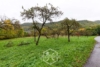 Platz für Visionen: Baugrundstück mit grünem Rückzugsort - Streuobstwiese